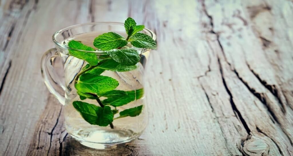 Mint Leaf Water